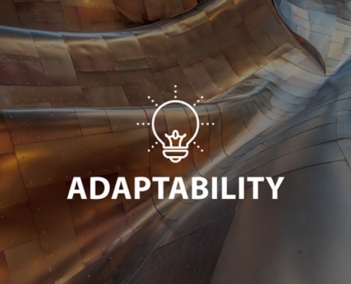 Adaptability Online Lesson by IMAGO Online SEL Platform