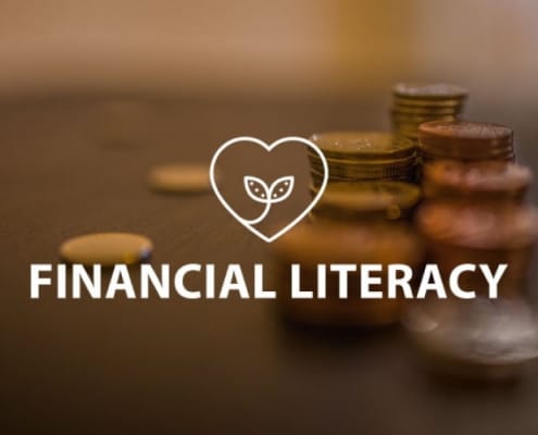 Financial Literacy Online Lesson by IMAGO Online SEL Platform