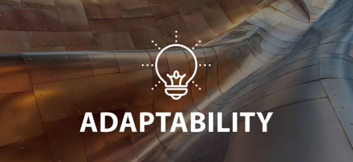 Adaptability Online Lesson by IMAGO Online SEL Platform