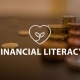 Financial Literacy Online Lesson by IMAGO Online SEL Platform