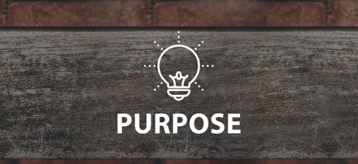 Purpose Online Lesson by IMAGO Online SEL Platform